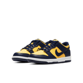 Big Kids' Nike Dunk Low "Michigan"