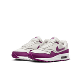 Big Kids' Air Max 1 "Viotech"