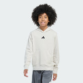 Kids' adidas Long Sleeve Essentials Small Logo Pullover Hoodie