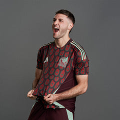 Men's Mexico 2024 Home Authentic Jersey