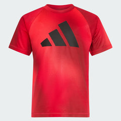 Kids' Two-Piece Short Sleeve Raglan Printed Tee and Shorts Set