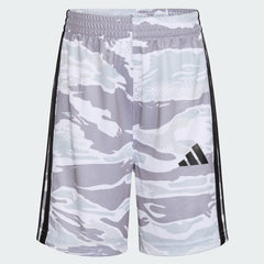 Kids' Two-Piece Short Sleeve Cotton Tee and Elastic Waistband Printed Shorts Set