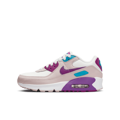 Big Kids' Nike Air Max 90 LTR "Viotech"