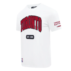 Men's Pro Standard Toronto Raptors City Arch Tee