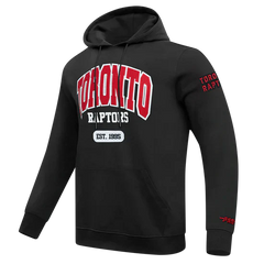Men's Pro Standard Toronto Raptors Hoodie