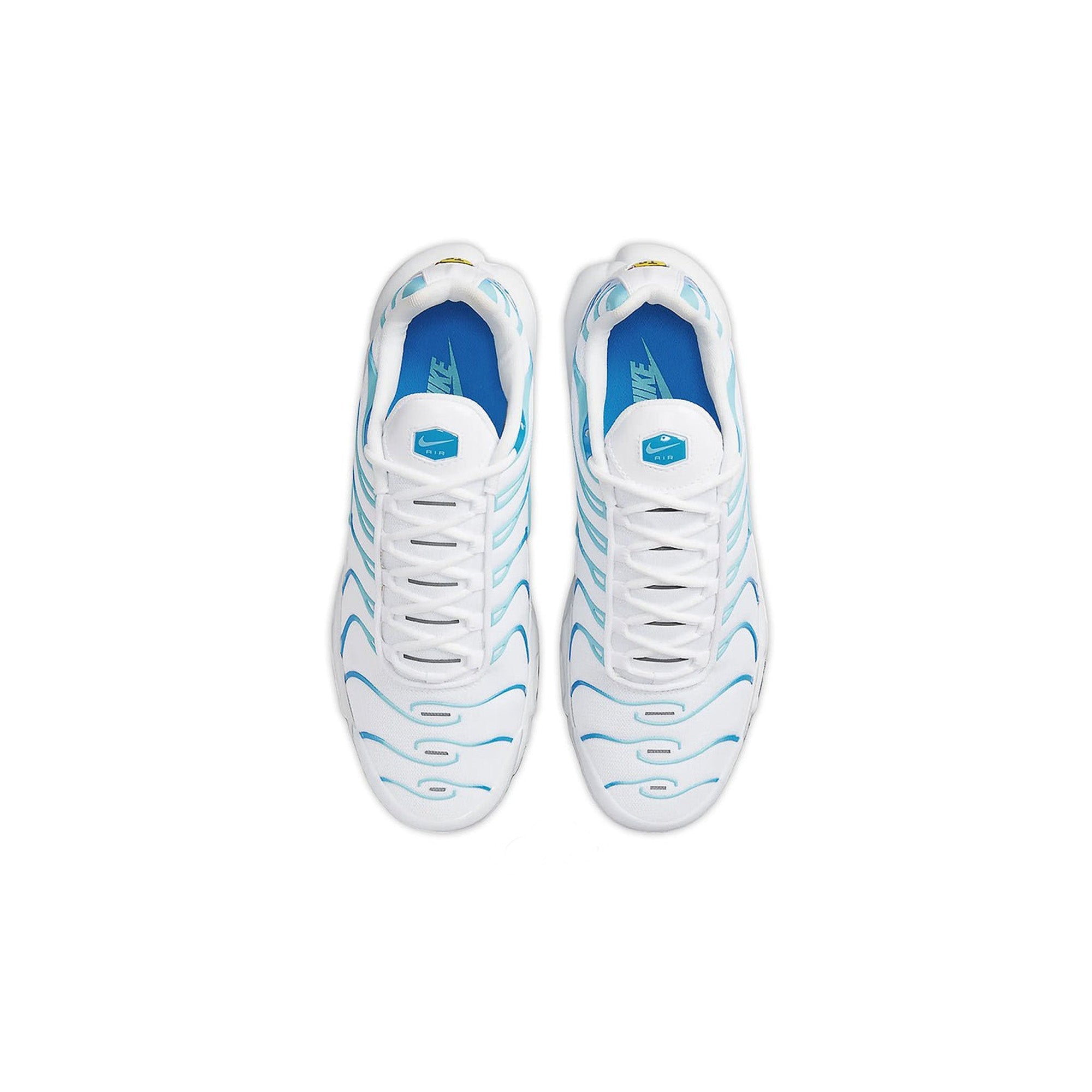 Air Max Plus TN 'Dreams