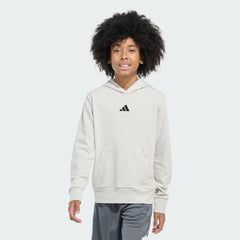 Kids' adidas Long Sleeve Essentials Small Logo Pullover Hoodie